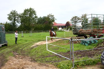 Bild 28 - WBO-Turnier am 18.9.11
